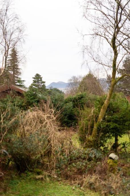 Cozy Norwegian Style Log Cabin In Rural Snowdonia - 2 Bedrooms & Parking By Seren Short Stays Ffestiniog Екстериор снимка